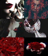 Dragon's Blood by Wicked Good Perfume - Vysn