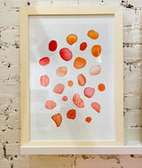 Art Print:  Rose Petals on Snow by India & Purry