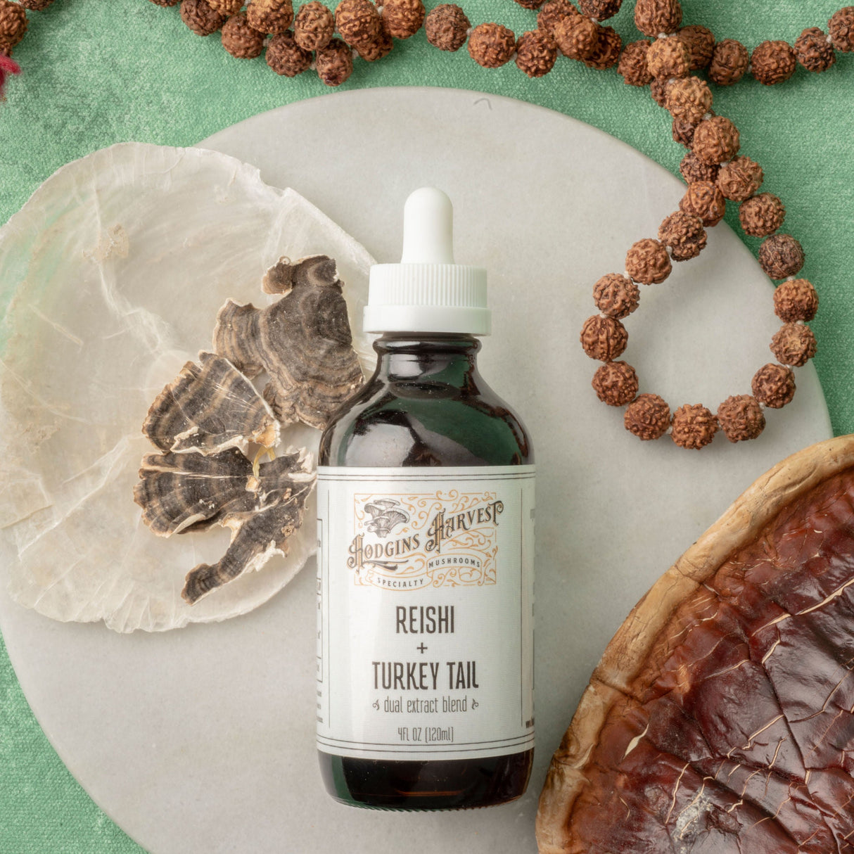 Reishi + Turkey Tail Dual Extract Tincture by Hodgins Harvest