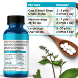 Ear Infection & Itch Relief Treatment for Dogs and Cats by BestLife4Pets