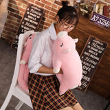 Pat the Piggy Plush (4 VARIANTS, 4 SIZES) by Subtle Asian Treats