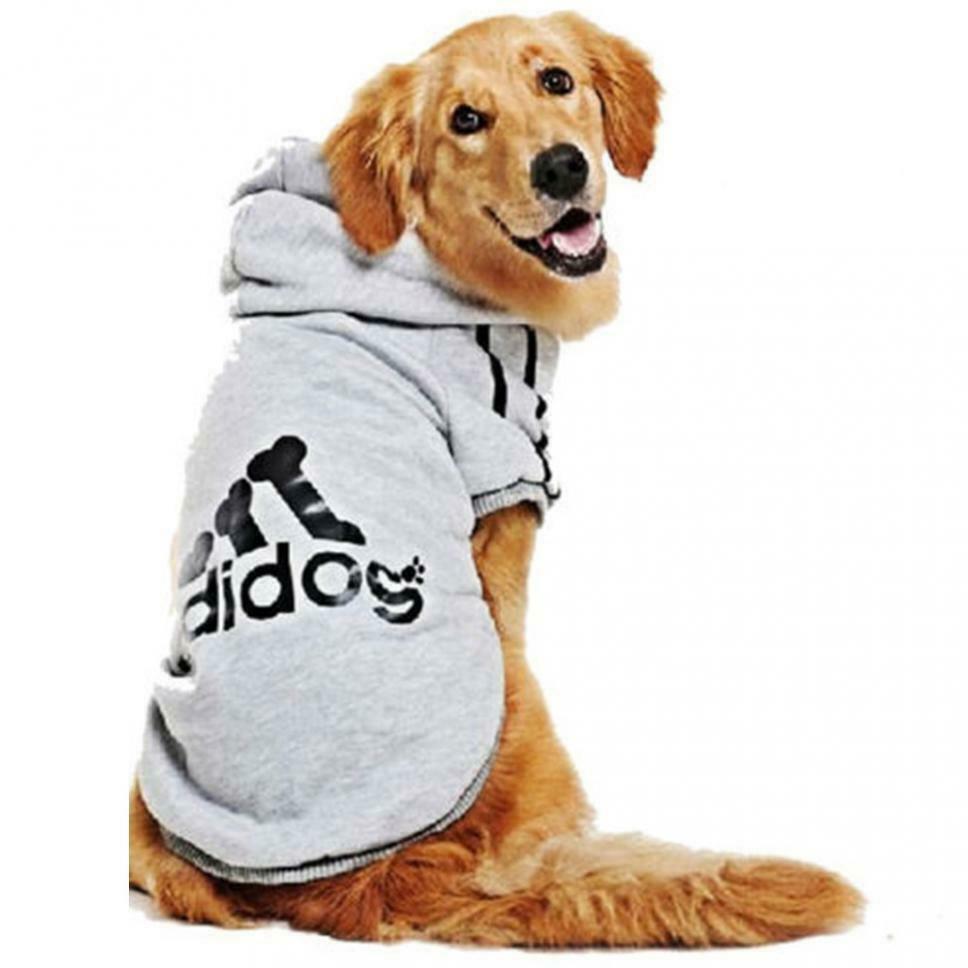 Dog Hoodie 2 Legs Jumpsuit Puppy Hoodies Coat Sweatshirt Sports Outfits by Js House