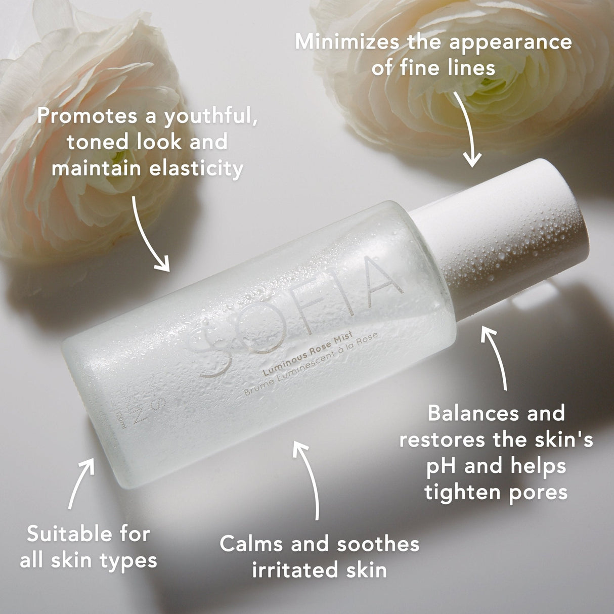 SOFIA | Luminous Rose Mist Travel by M.S. Skincare