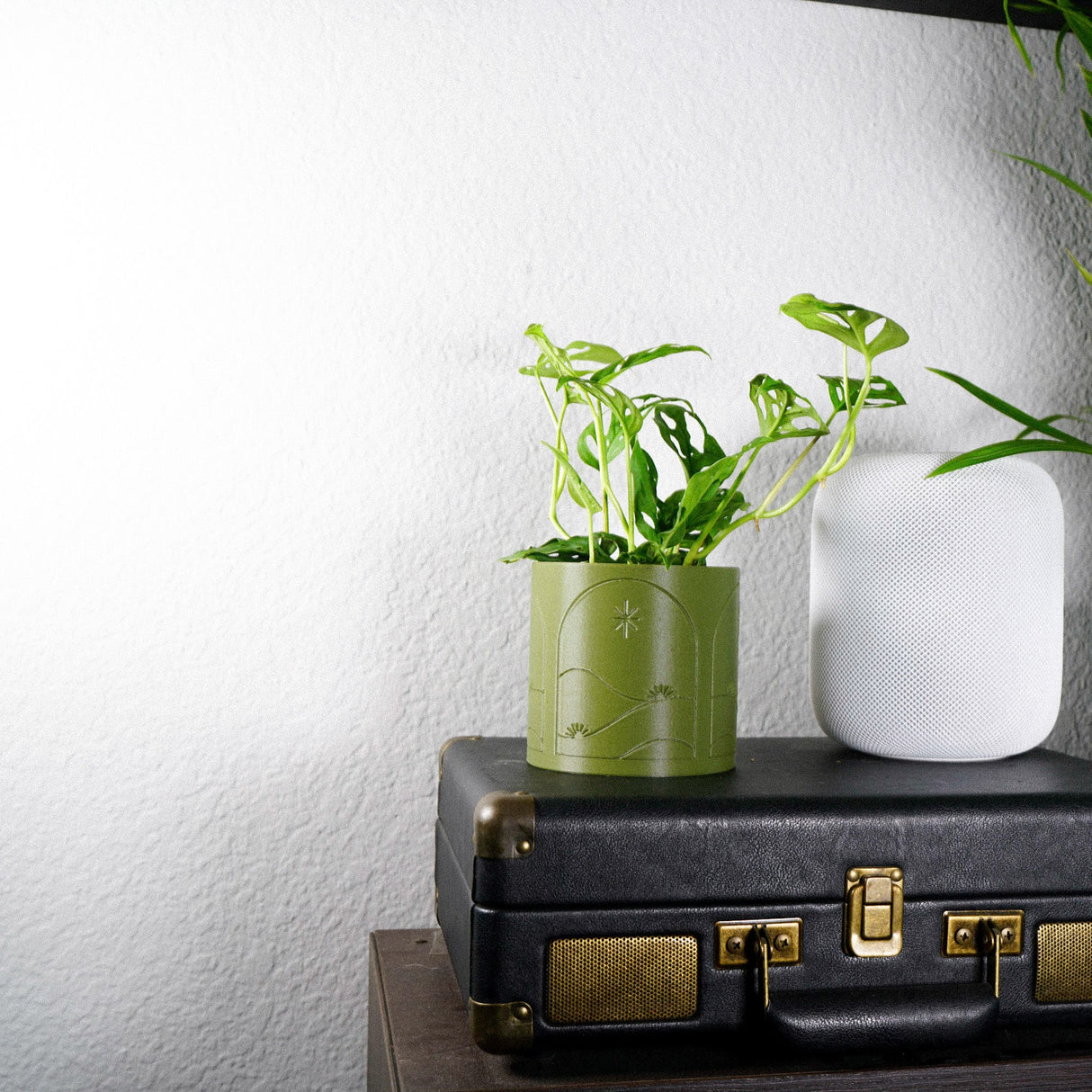 Starry Night Planter Pot with Drainage and Drip Tray, Unique Plant Gifts by Rosebud HomeGoods