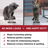 Natural Cat UTI & Kidney Remedy - Reduces Infections and Supports Optimal Bladder Function by BestLife4Pets