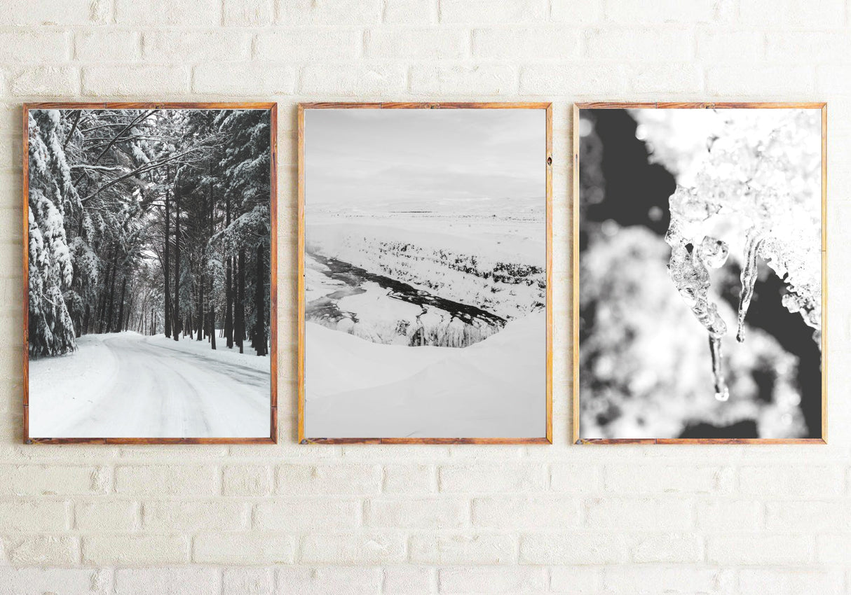 Winter Settings Photography Room Simple Wall Decor 3 Print Set by WinsterCreations™ Official Store