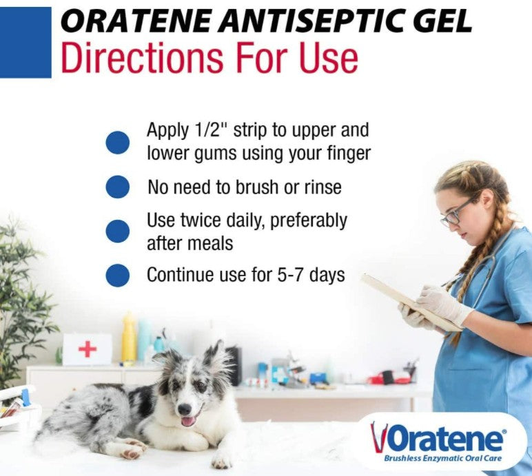 Zymox Oratene Enzymatic Oral Gel - Non-Irritating Pet Antiseptic Dental Care by Dog Hugs Cat