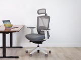 AeryChair - Ergonomic Chair by EFFYDESK - Vysn