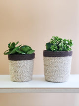 Agora Plant Basket - Brown by KORISSA - Vysn