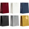 All Occasion Mature Small Solid Paper Gift Bags (6 Pack) by Present Paper - Vysn