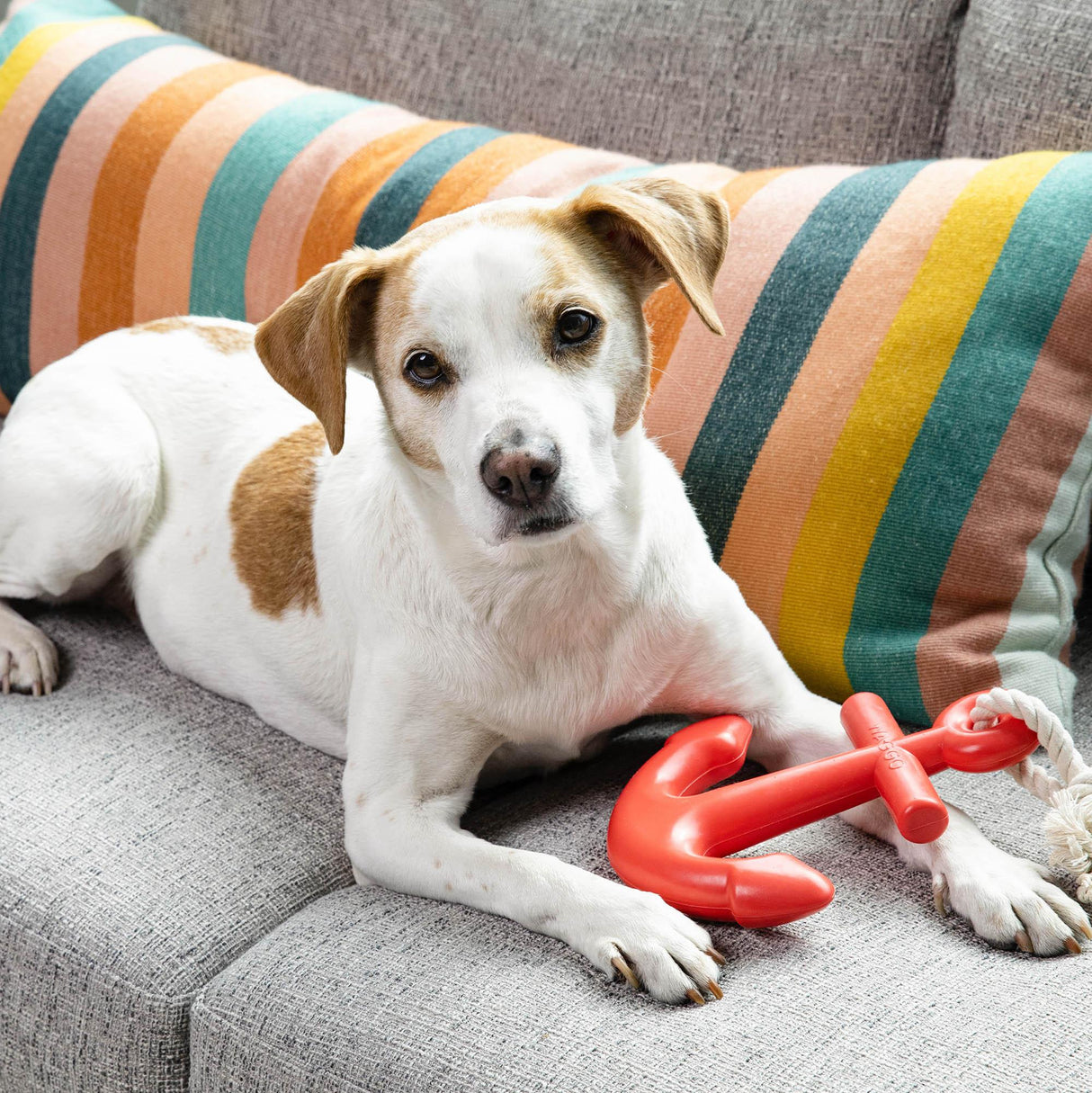 Anchors Aweigh Rubber Dog Toy by Waggo - Vysn