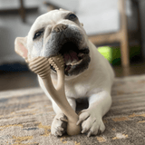 BetterBone TOUGH | Durable All-Natural, Food-Grade, Eco-Friendly, Dental Cleaning Chew for Aggressive Chewer Dogs & Puppies by The Better Bone Natural Dog Bone - Vysn