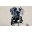 Can't See Me Camo Dog Scarf by Dope Dog Co - Vysn