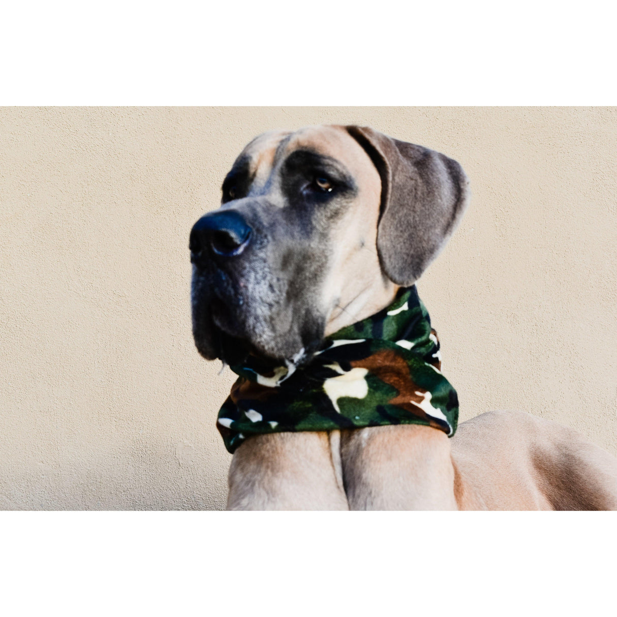 Can't See Me Camo Dog Scarf by Dope Dog Co - Vysn