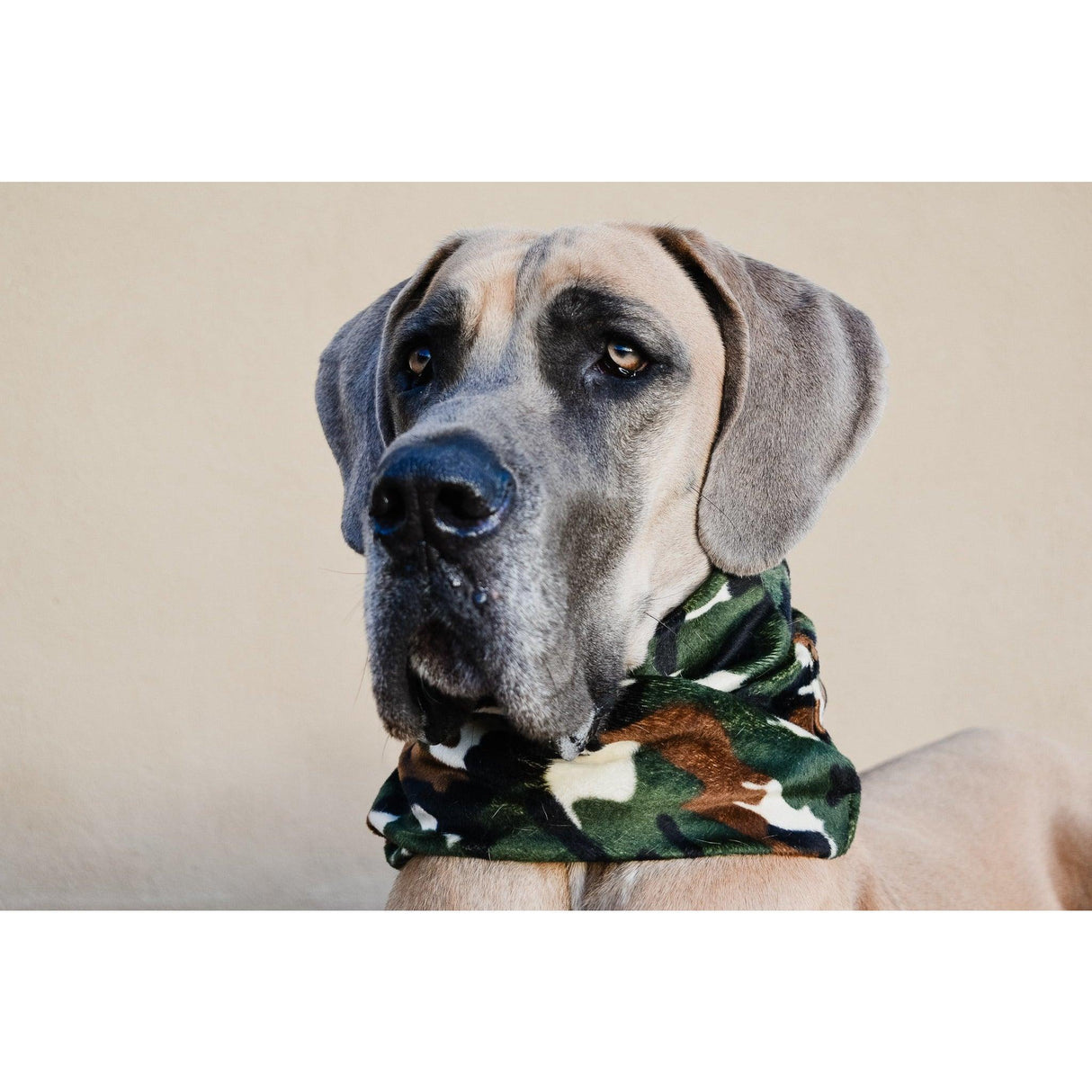 Can't See Me Camo Dog Scarf by Dope Dog Co - Vysn