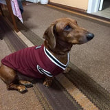 College Style Pet Winter Sweater by Dach Everywhere - Vysn