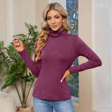 Turtleneck Long Sleeve T-Shirt