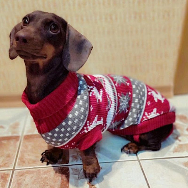 Dach Everywhere™ Cute Pullover Winter Dog Sweater by Dach Everywhere - Vysn