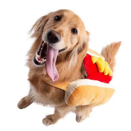 Dach Everywhere™ Hot Dog & Hot Cowboy Costume by Dach Everywhere - Vysn