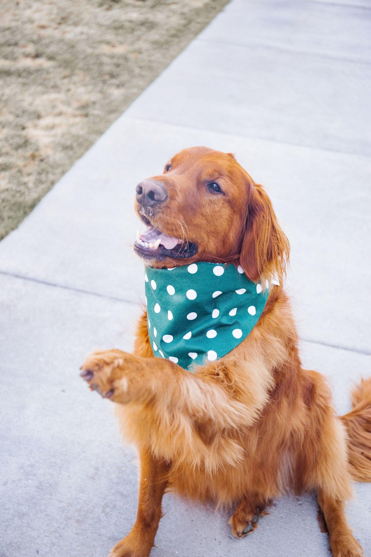 Dark Green Houndstooth Reversible Dog Bandana by Uptown Pups - Vysn