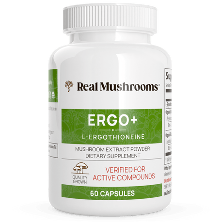 Ergo+ Ergothioneine Supplement by Real Mushrooms - Vysn