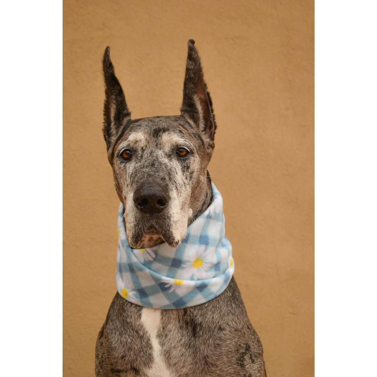 Flower Child Dog Scarf by Dope Dog Co - Vysn