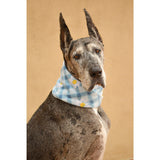 Flower Child Dog Scarf by Dope Dog Co - Vysn