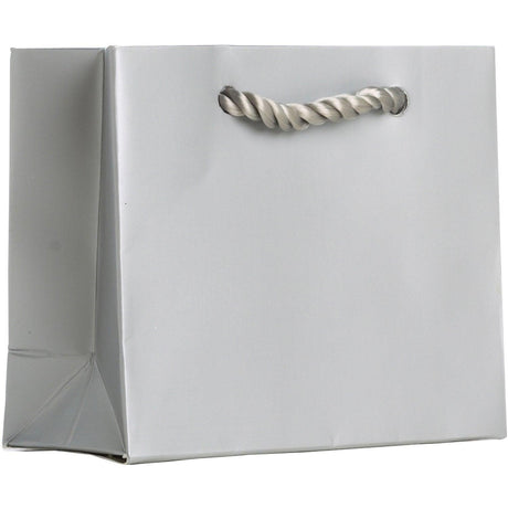 Heavyweight Solid Color Tiny Gift Bags, Matte Metallic Silver by Present Paper - Vysn