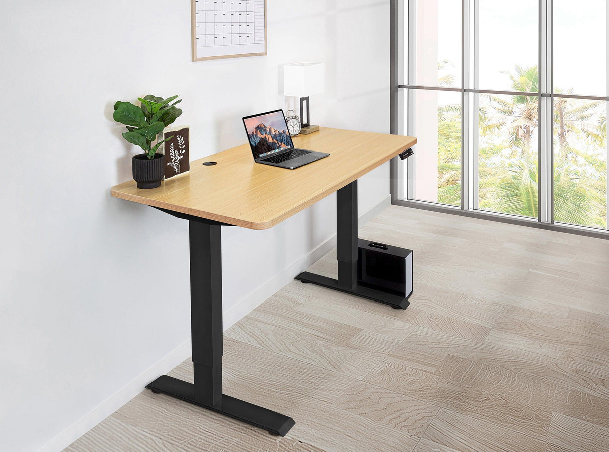 Home Office Standing Desk by EFFYDESK - Vysn