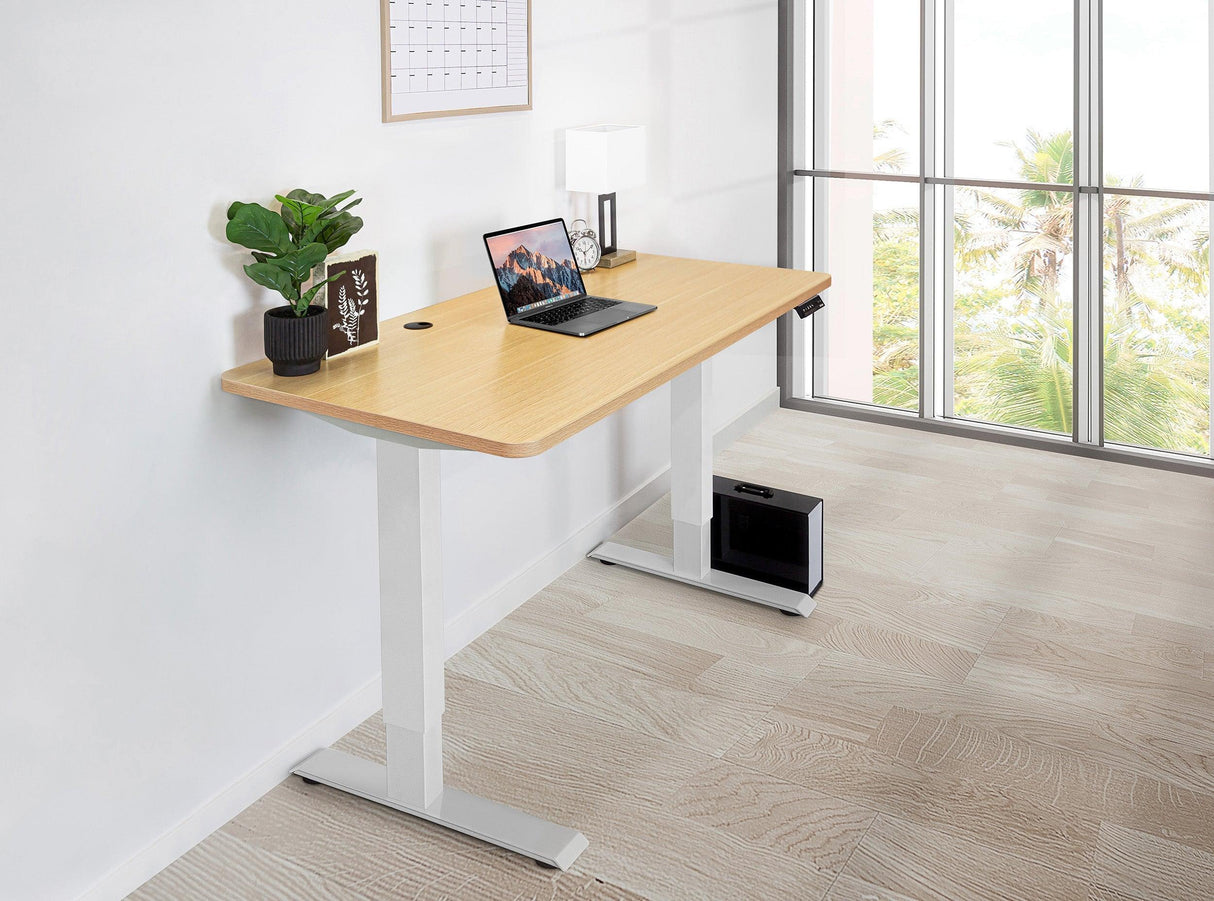 Home Office Standing Desk by EFFYDESK - Vysn