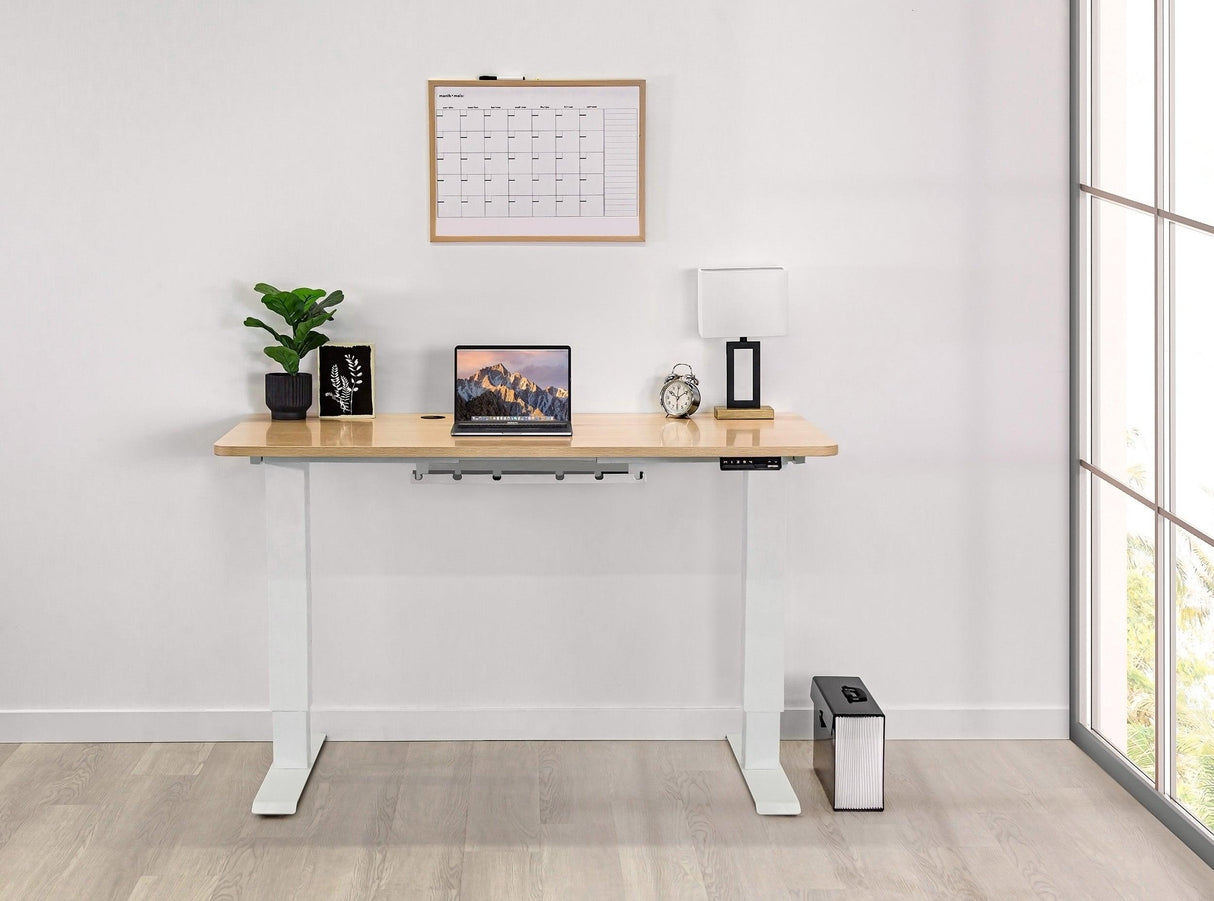 Home Office Standing Desk by EFFYDESK - Vysn