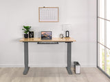 Home Office Standing Desk by EFFYDESK - Vysn