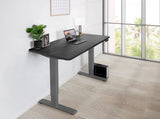 Home Office Standing Desk by EFFYDESK - Vysn