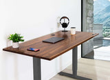 Home Office Standing Desk by EFFYDESK - Vysn