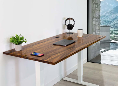 Home Office Standing Desk by EFFYDESK - Vysn