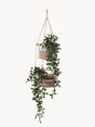 Jhuri Double Hanging Basket by KORISSA - Vysn