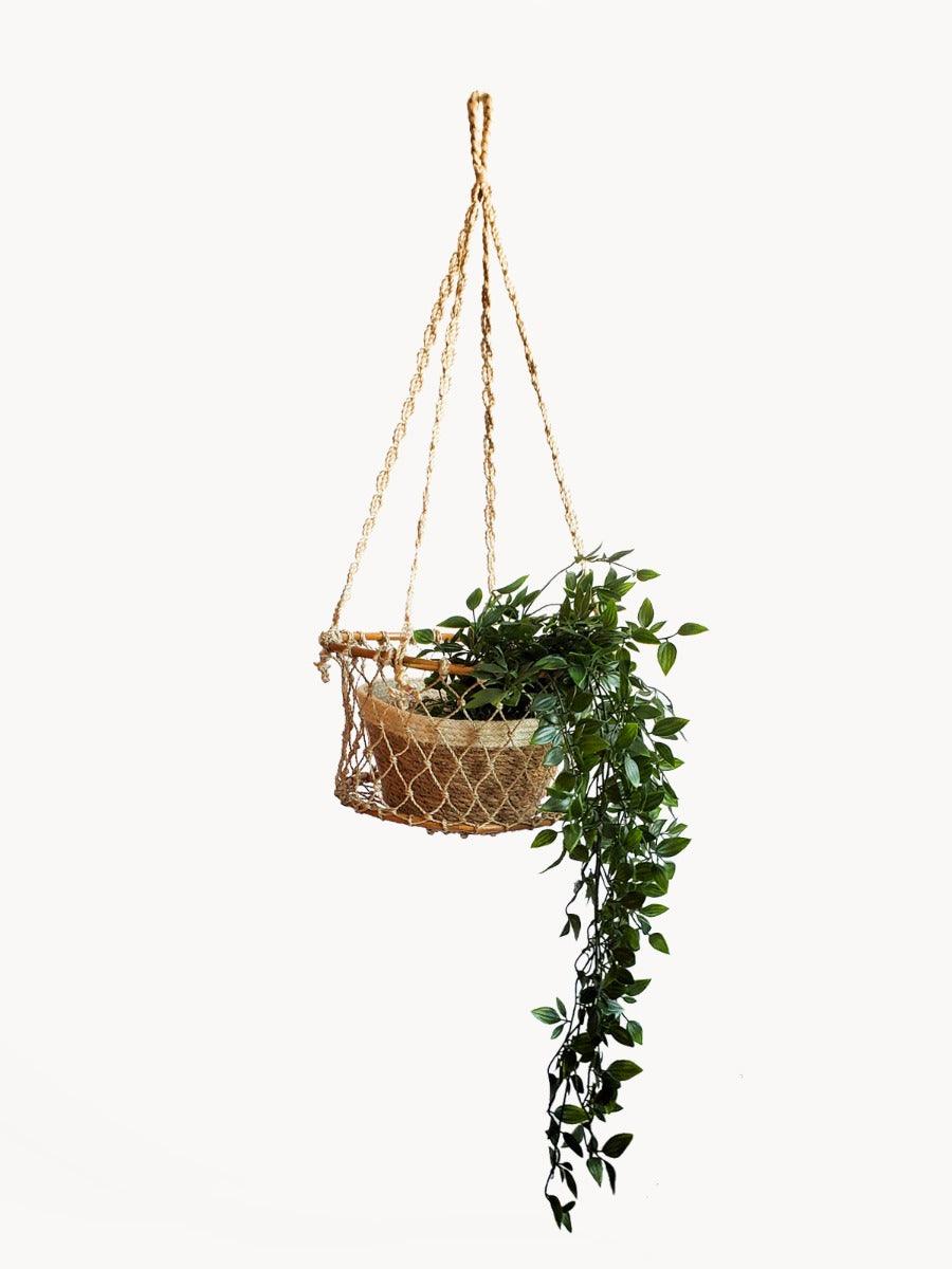 Jhuri Single Hanging Basket by KORISSA - Vysn