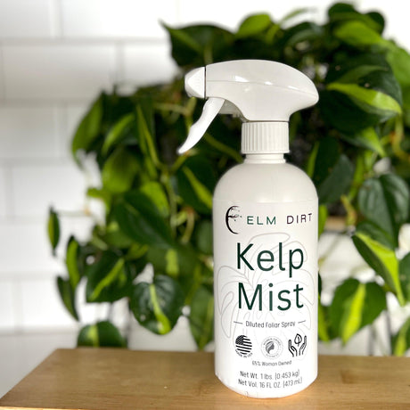 Kelp Mist by Elm Dirt - Vysn