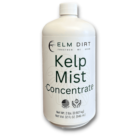 Kelp Mist by Elm Dirt - Vysn