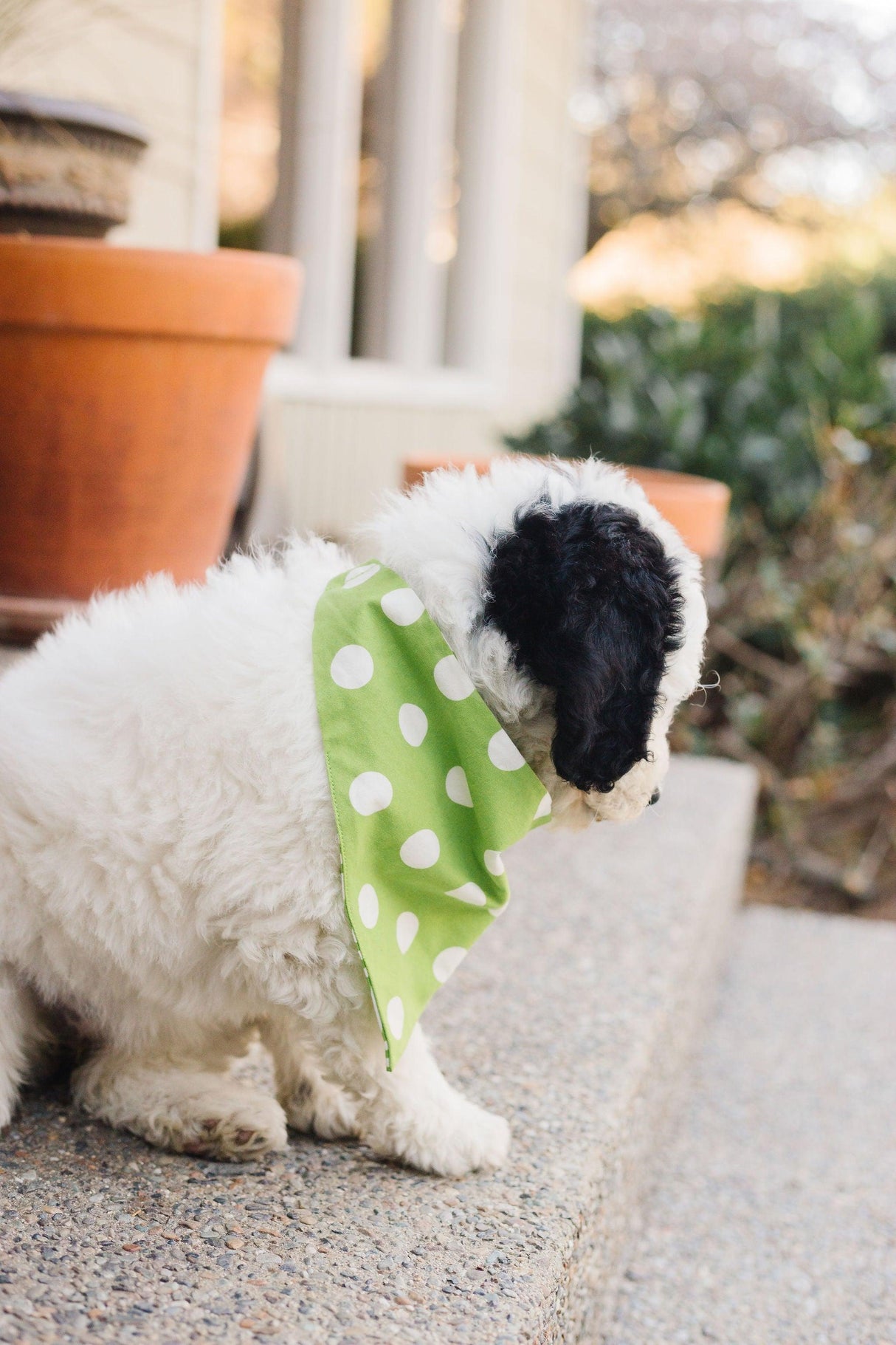 Lime Green Chevron Reversible Dog Bandana by Uptown Pups - Vysn