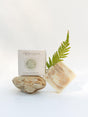 Matcha Body Bar - Unscented by Circular Bodies - Vysn