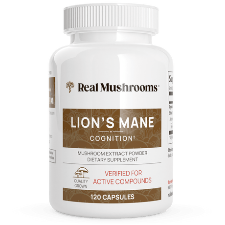 Organic Lions Mane Extract Capsules by Real Mushrooms - Vysn