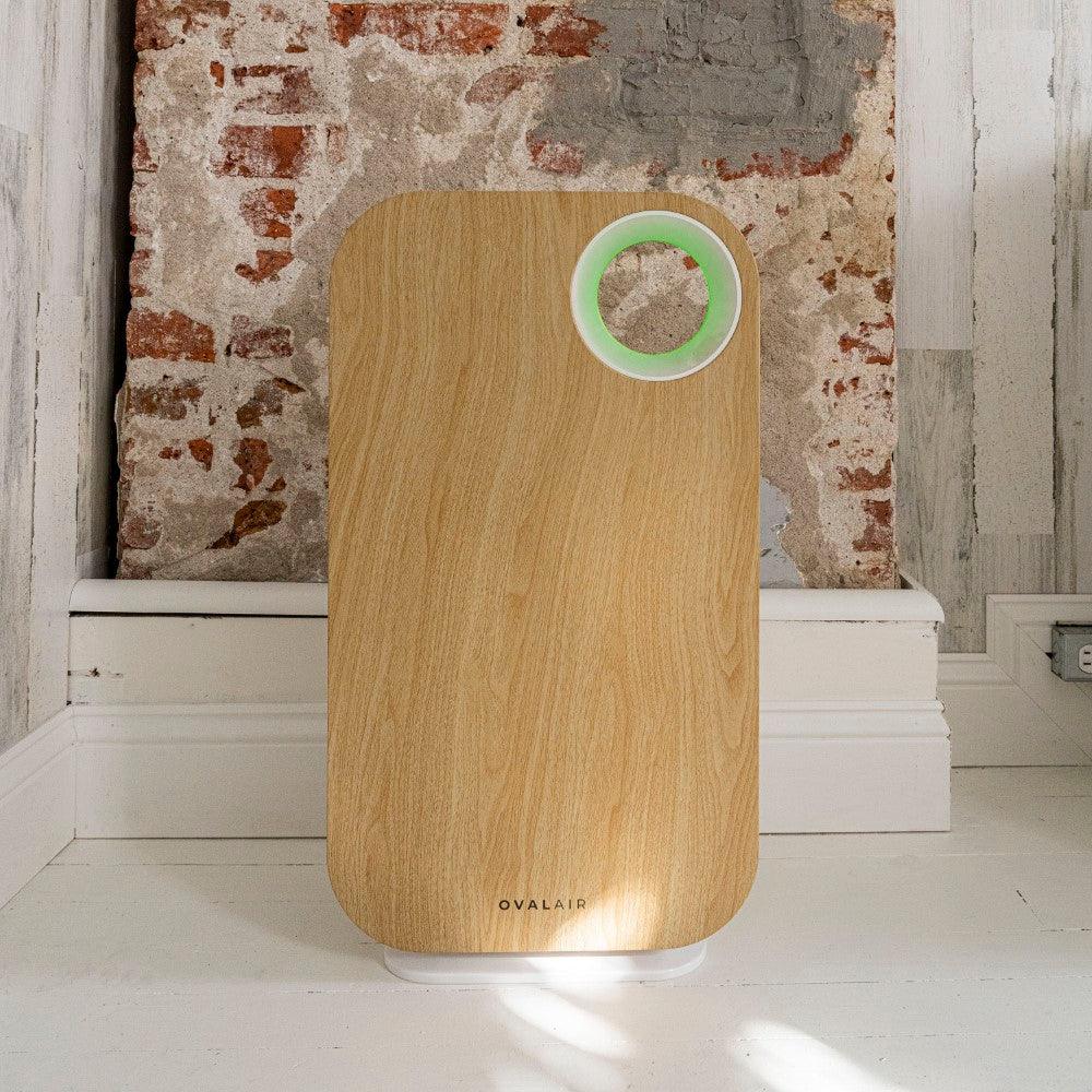 Oval Air Purifier by OVAL AIR - Vysn