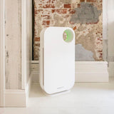 Oval Air Purifier by OVAL AIR - Vysn