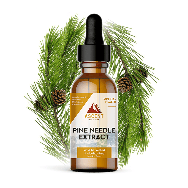 Pine Needle Extract by Ascent Nutrition - Vysn