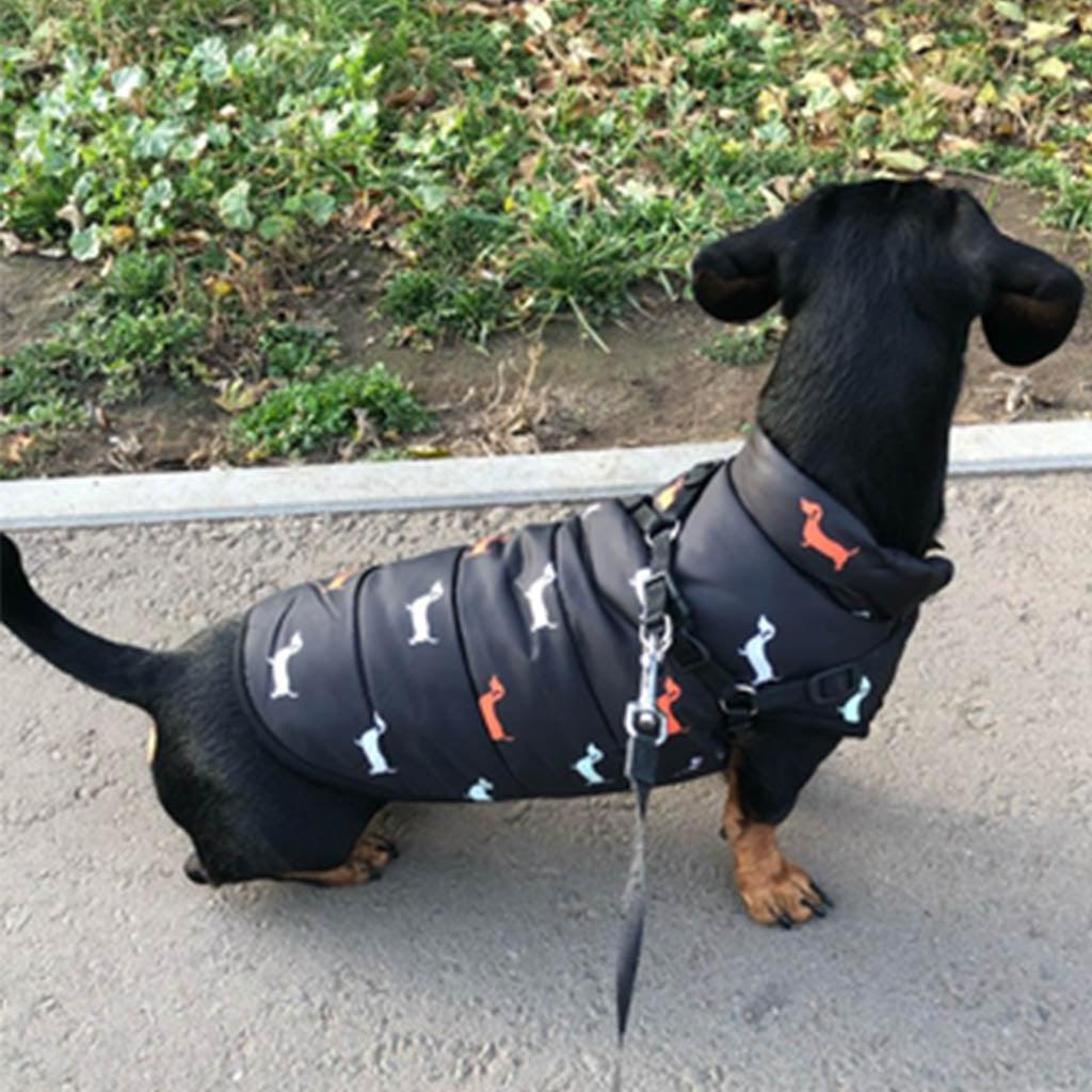 Sausage Dog Print Winter Vest (Size chart avaiable) by Dach Everywhere - Vysn