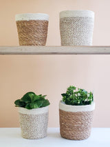 Savar Plant Basket by KORISSA - Vysn