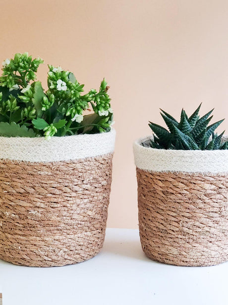 Savar Plant Basket by KORISSA - Vysn