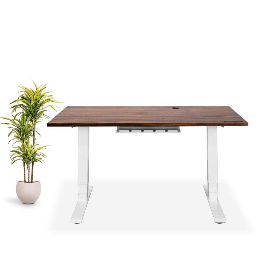 Standing Office Desk by EFFYDESK - Vysn