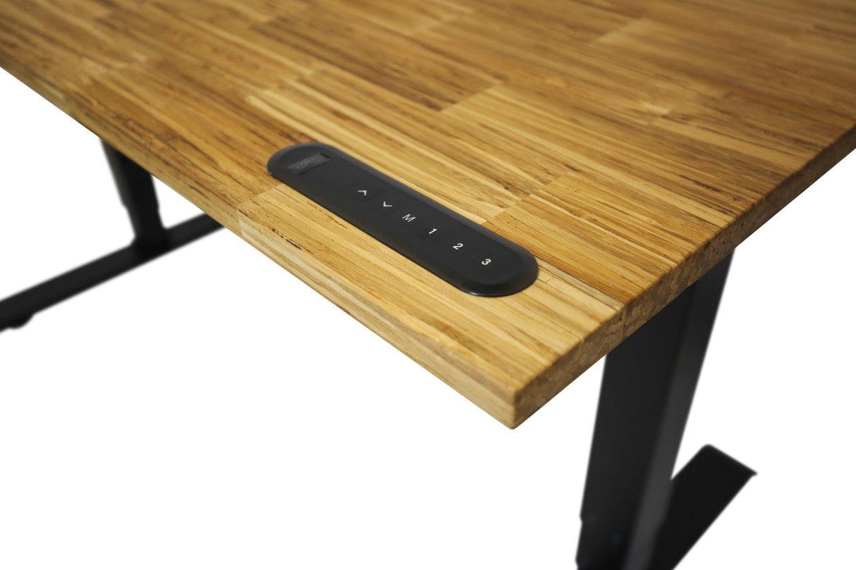 TerraDesk | Eco-Friendly Height-Adjustable Electric Standing Desk by EFFYDESK - Vysn